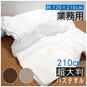 1 唻  oX^I  100 120×210cm  唻  J[ sAD X Ɩp^I {pp V[c \t@Jo[ ZpC ϋv قɂ v 