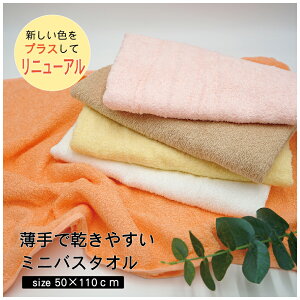oX^I 50×110cm 2Zbg xgi 420  J[oX^I 1  100 CG[ O[ n ₷ 傤ǂ悢 ~J΍  pXeJ[ Jt