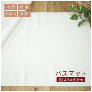 oX}bg 40×60cm    zCg n 35 |GXe65% ^In @  ʏ C Vv   700 pCZ ڂׂ ^I^Cv