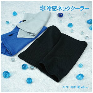 y3Setz ⊴lbNN[[ 46cm  ₽^I N[^I p^I Ђ^I  z  y Xgb`f lbN^I wbgCi[ wbh^I