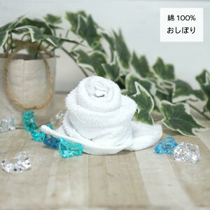 _X|Cg10{ }\Ԍ ^ ڂ nh^I CO  240Zbg  100% 39×30cm ܂Ƃߔ Ɩp Ǝ 