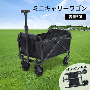 L[S e 50L L[J[g ܂肽 RpNg AEghA C BBQ ^ ו ^  Lv y  V