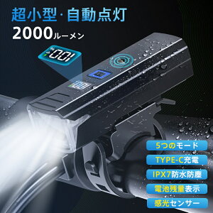 y[J[]i3980~1680~z]ԃCg 2000[ ZT[ Px ^ _ LED USB[d IPX7h drcʕ\ h 邢 5̃[h