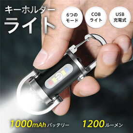 懐中電灯 LEDライト 1200ルーメン ハンディライト 6つモード USB充電式 超小型 照明 COBライト キーホルダー ミニ 防水 防災 超軽量