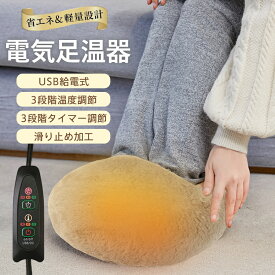 【メーカー希望小売価格4980円→2180円】電気足温器 フットウォーマー コンパクト 洗える USB給電 フットヒーター 過熱保護 柔らかい 省エネ 滑り止め加工 もこもこ