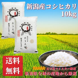 楽天市場 お 米 販売の通販