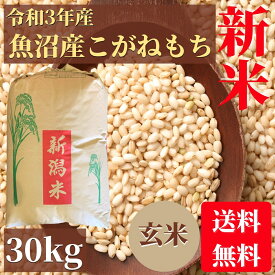 もち米 玄米 令和3年　魚沼産こがねもち 30kg 送料無料 最上級米　業務用　高級米　もち
