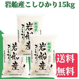 米　15kg　送料無料　岩船産こしひかり　15kg（5kg×3）送料無料　米/お米 15kg 　米/こめ/ギフト/プレゼント 贈り物　新潟　産直 こしひかり　特価　白米　精米　美味しいお米　新潟産米　令和5年産　おいしいお米