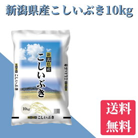 米　令和7年産　お米　10kg　送料無料　新潟県産こしいぶき　10kg　送料無料　米　お米　白米　新潟から産直販売　お祝い　ギフト【安心安全米】