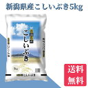 米　令和6年　新潟県こしいぶき 5kg　送料無料【メーカー直送】米/コメ/こめ　新潟米　産地直送/直送　新米