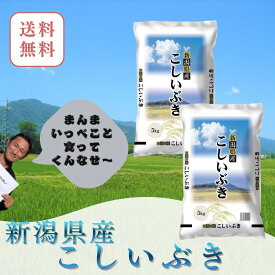米　10kg(5kg×2)　送料無料　新潟県産 こしいぶき　五つ星米マイスター厳選 新潟米
