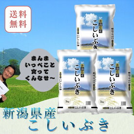 新米　15kg　送料無料　新潟県産 こしいぶき　五つ星米マイスター厳選 新潟米　骨取りサバ　に合う米　白米