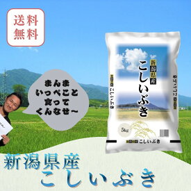 新米　令和8年　5kg　送料無料　新潟県産 こしいぶき　五つ星米マイスター厳選 新潟米