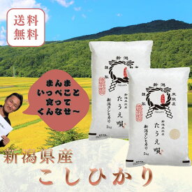 新米　令和8年　10kg　送料無料　新潟産こしひかり　10kg（5kg×2）【メーカー直送】送料無料　米　お米　白米　ブランド米　新潟から産直販売　お祝い　ギフト【安心安全米】コシヒカリ/こしひかり　母の日　父の日　骨取りサバ　に合う米