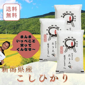 新米　令和8年　新潟産こしひかり　15kg（5kg×3）送料無料　米/お米 15kg 　米/こめ/ギフト/プレゼント 贈り物　新潟　産直 こしひかり　特価　白米　精米　美味しいお米　新潟産米　【メーカー直送】骨取りサバ　に合う米