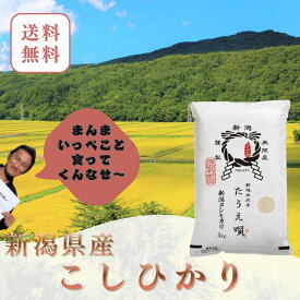 米　新潟産こしひかり 5kg 　令和7年産　送料無料【メーカー直送】　米/コメ/こめ　ギフト/プレゼント/贈り物　産地直送/直送　コシヒカリ/新潟米/ブランド米