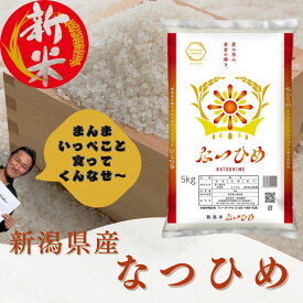 【新米】令和8年産　新潟県産　なつひめ　5kg　10kg　送料無料　新品種　白米 5キロ 精米　ギフト　新潟米