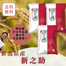 新米　令和8年　新潟県産 新之助 米 白米 15kg（5kg×3）五つ星米マイスター厳選 新潟米 国産米　お米 精米 ブランド米 高級米 ギフト 贈答用
