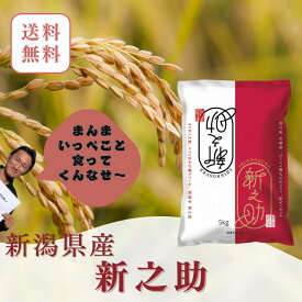 新潟県産 新之助 米 白米 5kg　五つ星米マイスター厳選 新潟米 国産米　お米 精米 ブランド米 高級米 ギフト 贈答用