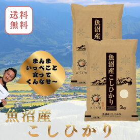 魚沼産コシヒカリ 米 白米 10kg　五つ星米マイスター厳選 新潟米 国産米　お米 精米 ブランド米 高級米 ギフト 贈答用