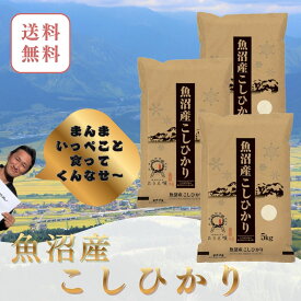 新米　魚沼産コシヒカリ 15kg　送料無料　五つ星米マイスター厳選 新潟米 国産米　お米 精米 ブランド米 高級米 ギフト 贈答用