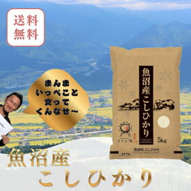 魚沼産コシヒカリ 米 白米 5kg　五つ星米マイスター厳選 新潟米 国産米　お米 精米 ブランド米 高級米 ギフト 贈答用