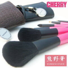 【20%OFF】【送料無料】【名入れ無料】《熊野筆》TAUHAUS『CHERRYメイクブラシ6本&ワニ柄型押しブラシケースセット』(SP6-BCH4-NET)タウハウス熊野筆化粧筆メイクブラシ名入れ【RCP】