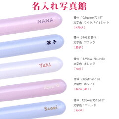 【名入れ無料】【ネコポス送料無料】《熊野筆》TAUHAUS『クッキー入りラッピング無料♪ネットショップ限定!ラメ入りチークブラシ』(O-06)タウハウス熊野筆化粧筆メイクブラシ名入れチークチークミネラルホワイトデー入学祝卒業祝クッキー