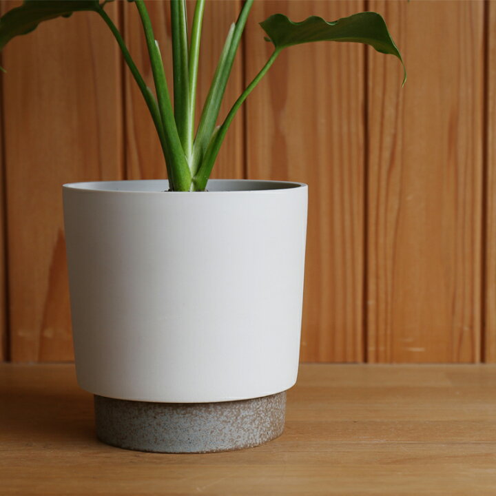 楽天市場】植木鉢 陶器 Sサイズ プランター 受皿付き 日本製 底穴有 晋 