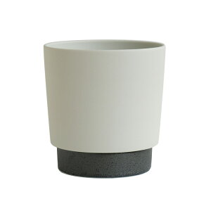 Aؔ  STCY v^[ Mt { ꌊL WRq}c ground Đy TCN Z