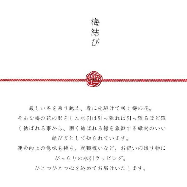 楽天市場 水引ラッピング ネクタイピン メンズ 名入れ おしゃれ ブランド シンプル ユニーク 人気 ギフト ビジネス 日本製 タイピン タイバー Tps 055 タバラット Tavarat タバラット 楽天市場店