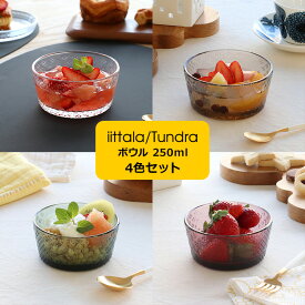 イッタラ ツンドラ ボウル 250ml 4色セット iittala Tundra 【ギフト 結婚祝い プレゼント お中元 贈り物】【iittala イッタラ】【食器 カトラリー】【ギフト】