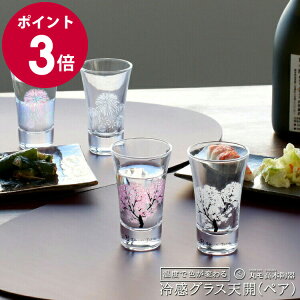 ۃؓ ⊴ OXVJ yAi2j Zbg y{ Mtg j v[g 蕨  HZbg MtgZbgzyH Jg[zyMtgz