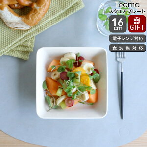 Cb^ eB[} XNGAv[g 16×16cm iittala yϔM dqWΉ M Mtg j v[g  蕨zyiittala Cb^zyH Jg[zyMtgz