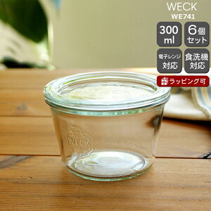 EFbN [hVFCv WE741 KXLjX^[ 300ml aLTCY 6Zbg yKXe ϔM dqWΉ  Mtg j v[g  蕨 MtgZbgzyL
