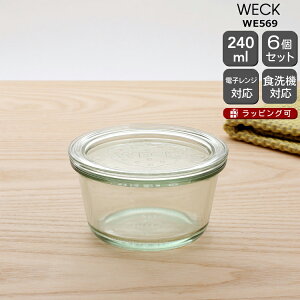 EFbN [hVFCv WE569 KXLjX^[ 240ml aLTCY 6Zbg yKXe ϔM dqWΉ  Mtg j v[g  蕨 MtgZbgzyL