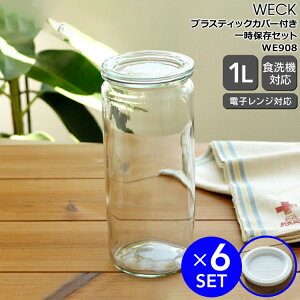 EFbN Xg[gVFCv WE908 KXLjX^[ 1.0L aMTCY yKXe ϔM dqWΉzyLb`piz