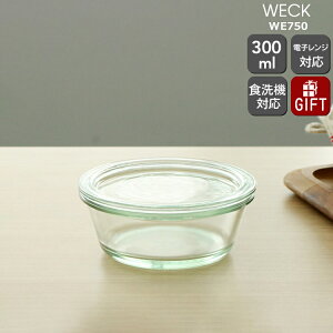 yN[|zzzEFbN OW[ KXLjX^[ 300ml aXLTCY WE750 yKXe ϔM dqWΉ  Mtg j v[g  蕨zyLb