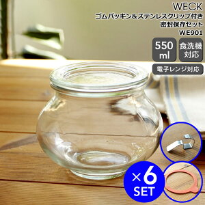 EFbN ۑZbg fRVFCv WE901 KXLjX^[ 550ml aMTCY 6  SpbL WE002 aMTCYp 6  XeXNbv WE004 12 yϔM   Mtg 