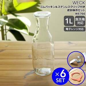 EFbN ۑZbg W[XW[ WE766 KXLjX^[ 1.0L aSTCY 6  SpbL WE003 aSTCYp 6  XeXNbv WE004 12 yϔM   Mtg 