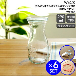 EFbN ۑZbg W[XW[ WE763 KXLjX^[ 290ml aSTCY 6  SpbL WE003 aSTCYp 6  XeXNbv WE004 12 yKXe ϔM  