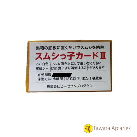 スムシっ子カード　2枚セット