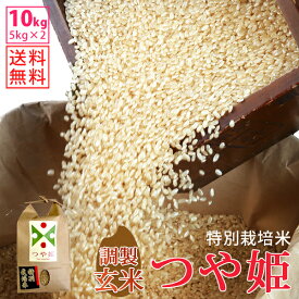 【玄米】令和5年山形県産特別栽培米つや姫 10kg(5kg×2)【自社精米工場直送】【送料無料】