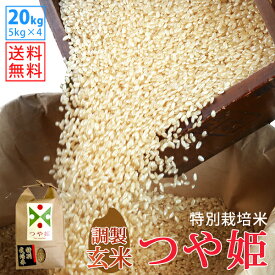 【玄米】令和5年山形県産特別栽培米つや姫 20kg(5kg×4)【自社精米工場直送】【送料無料】