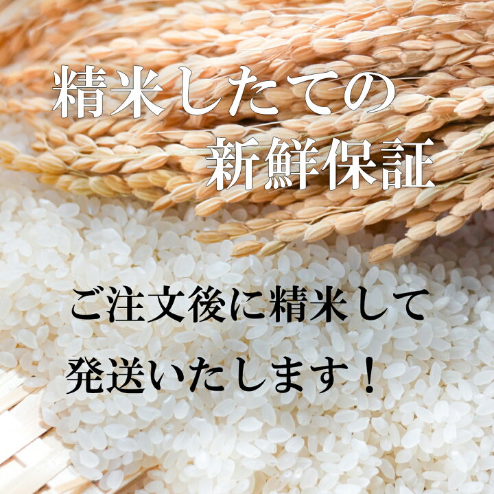 楽天市場】分つき米 玄米 7分づき 5分づき 米 10kg(5kg×2) 福岡県産 