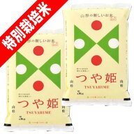 分つき米 玄米 7分づき 5分づき 米10kg(5kg×2) 特別栽培米 つや姫 山形県産 出荷日精米 送料無料 お米 …