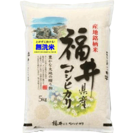 無洗米 米5kg コシヒカリ 福井県産 出荷日精米 送料無料 令和5年産