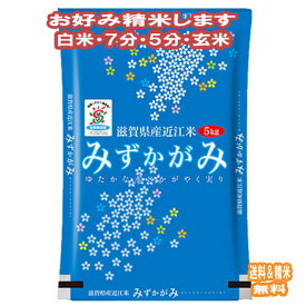 分つき米 玄米 7分づき 5分づき 米5kgみずかがみ 滋賀県産出荷日精米 送料無料 お米 令和7年産