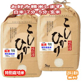 分つき米 玄米 7分づき 5分づき 米10kg (5kg×2)コシヒカリ 熊本県産 阿蘇 特別栽培米出荷日精米 送料無料 お米 令和5年産