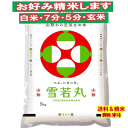 分つき米 玄米7分づき 5分づき 米5kg 雪若丸 山形県産 出荷日精米 送料無料 お米 令和6年産